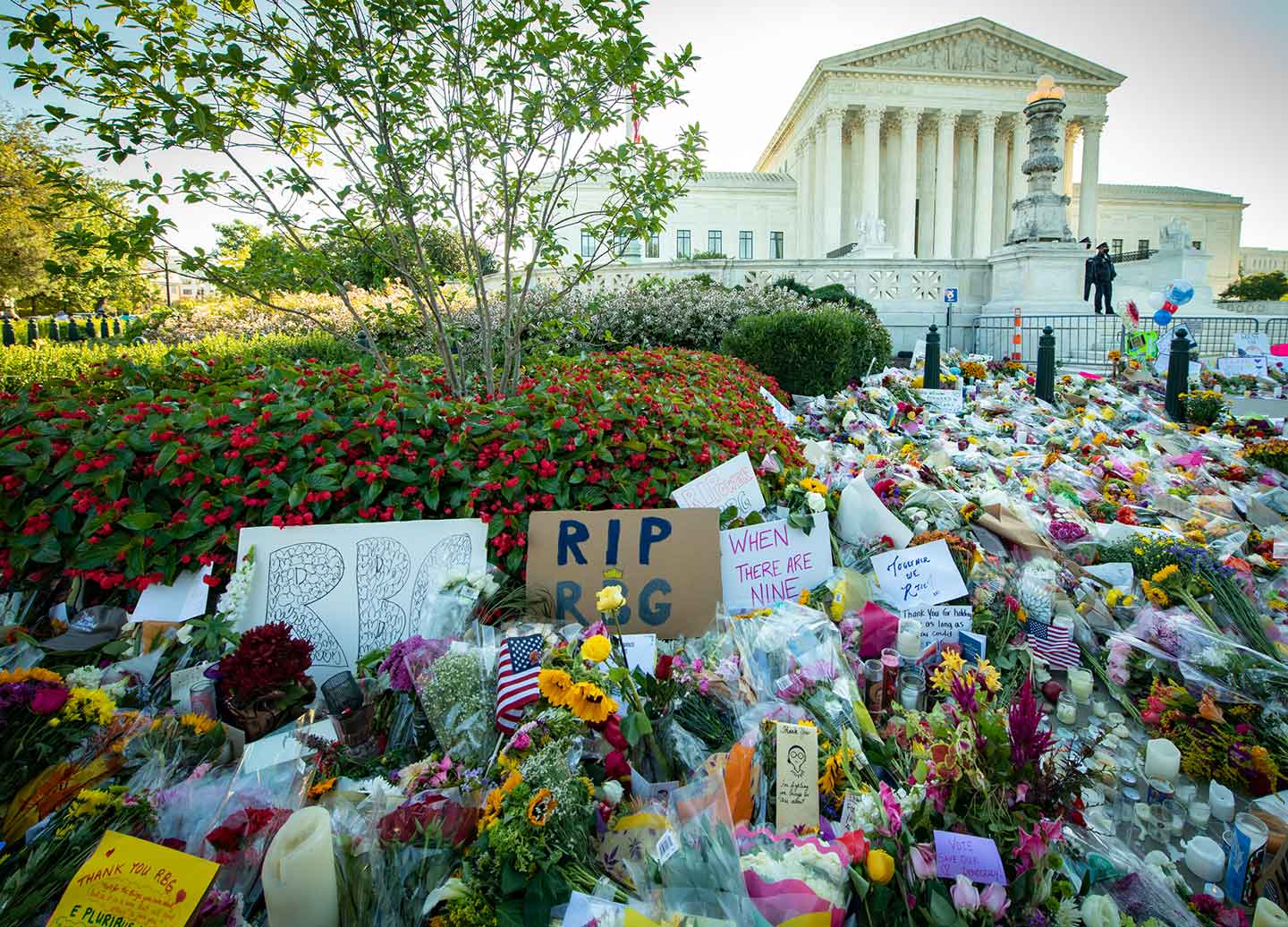MeToo_Law_RGB Ruth Bader Ginsburg Vigil