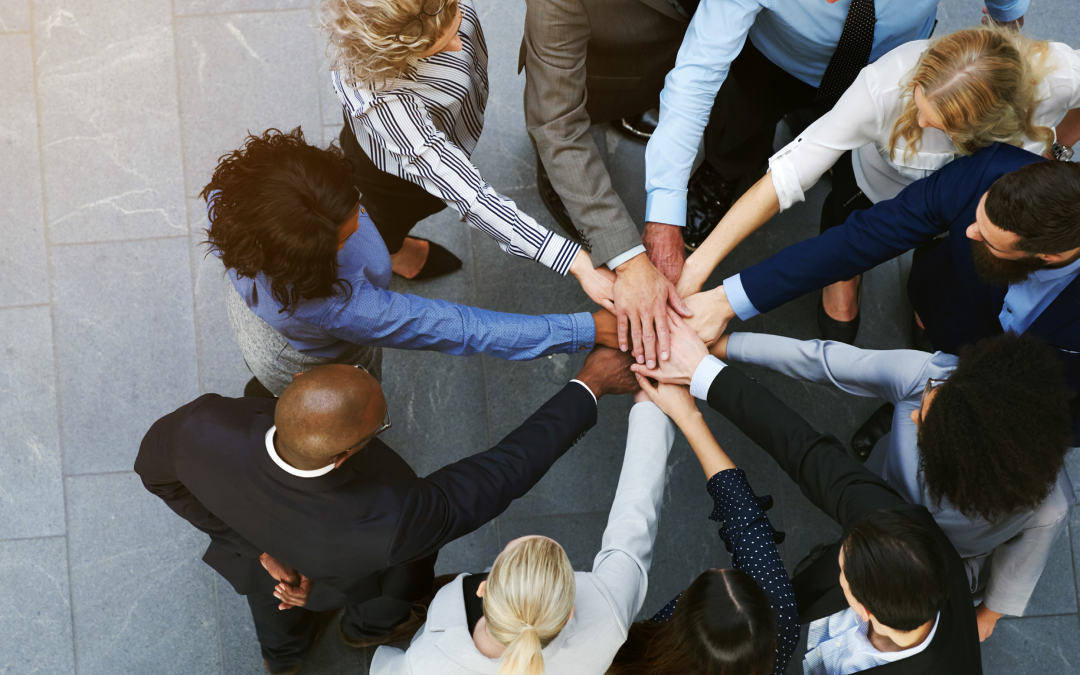 Report – Diversity, Inclusion & Law